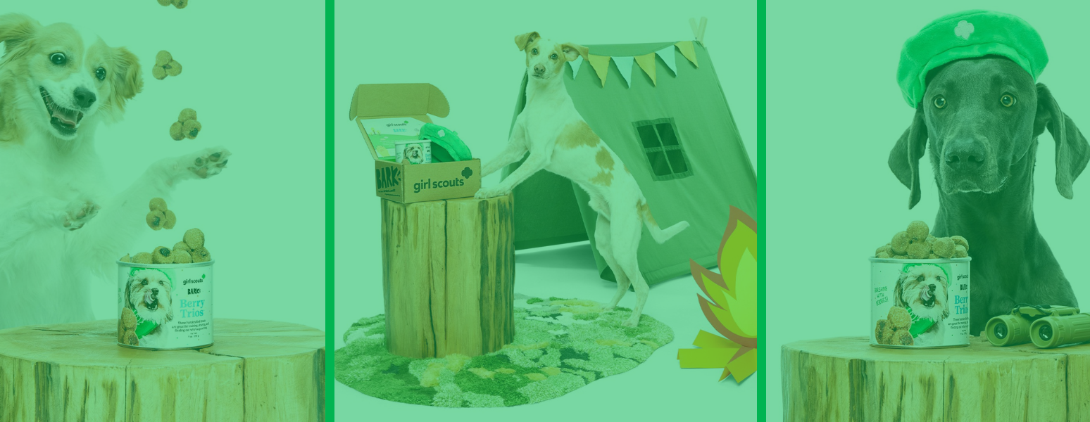 Girl Scouts x BarkBox